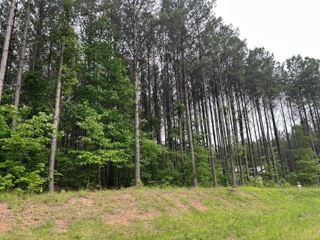 Land for sale in Tennessee