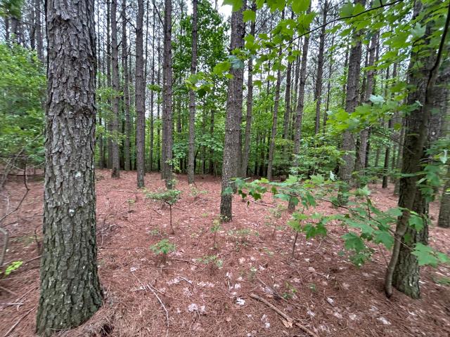 Land for sale in Tennessee