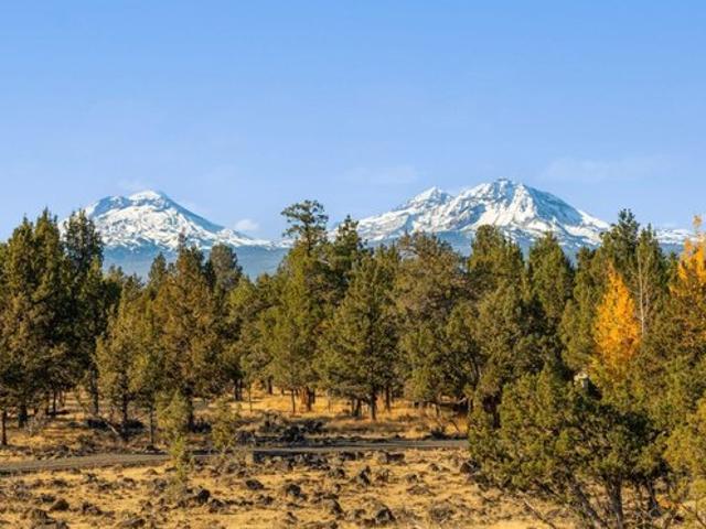 Land for sale in Oregonia