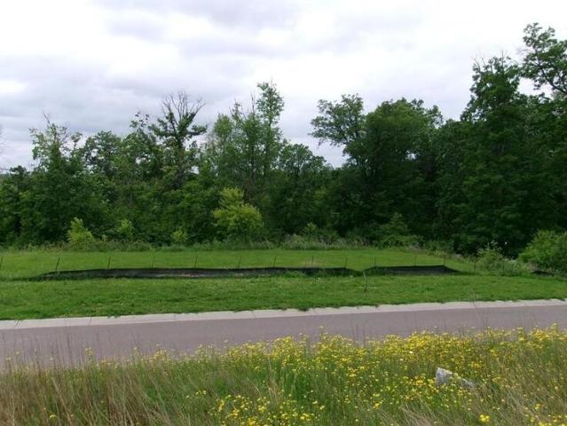 Land for sale in Elk River