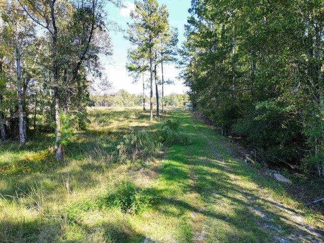 Land for sale in Hosford, Florida