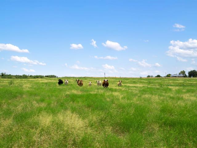 Land for sale in Williamson, Texas