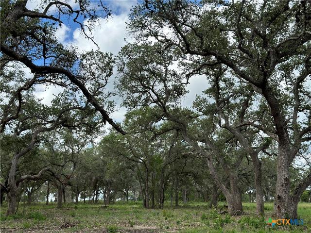 Land for sale in Goliad, Texas