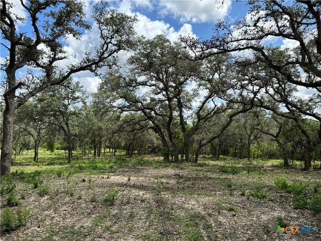 Land for sale in Goliad, Texas