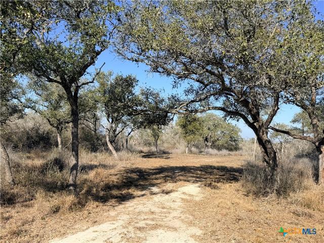 Land for sale in Goliad, Texas