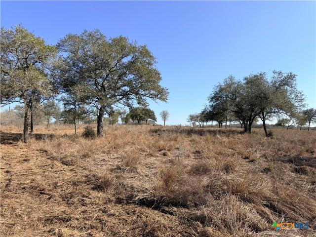 Land for sale in Goliad, Texas