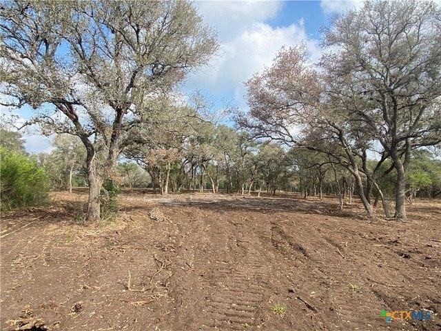Land for sale in Goliad, Texas