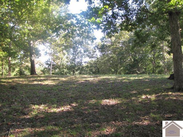Land for sale in Eddyville, Kentucky