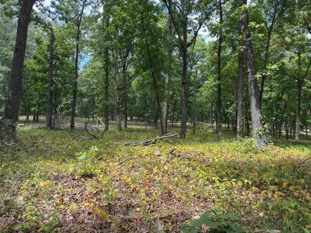 Commercial for sale in Ark