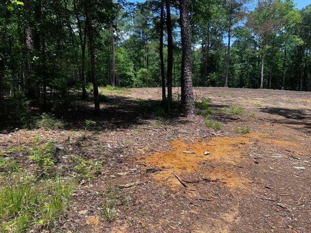 Land for sale in Dale, Alabama