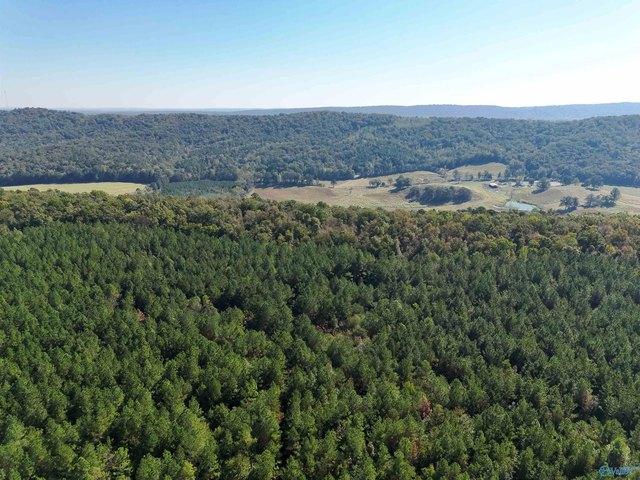 Land for sale in Remlap, Blount County