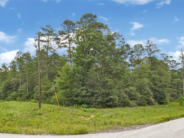 Land for sale in Walker, Texas