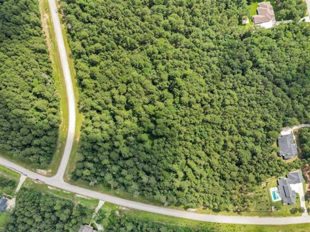 Land for sale in Walker, Texas