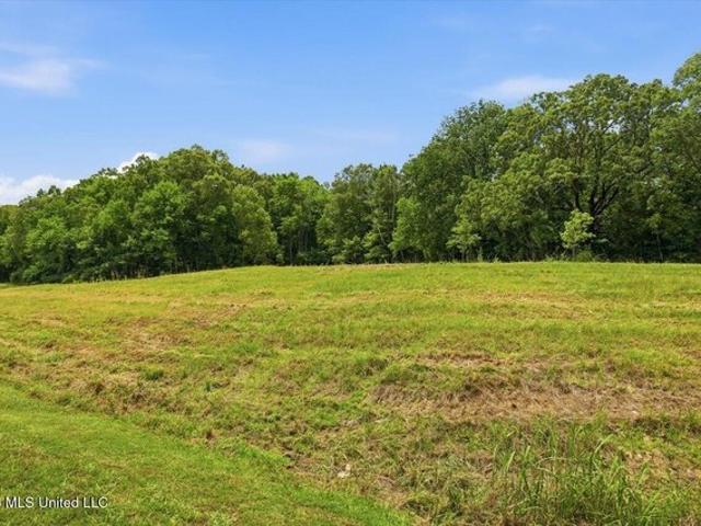 Land for sale in Flora, Mississippi