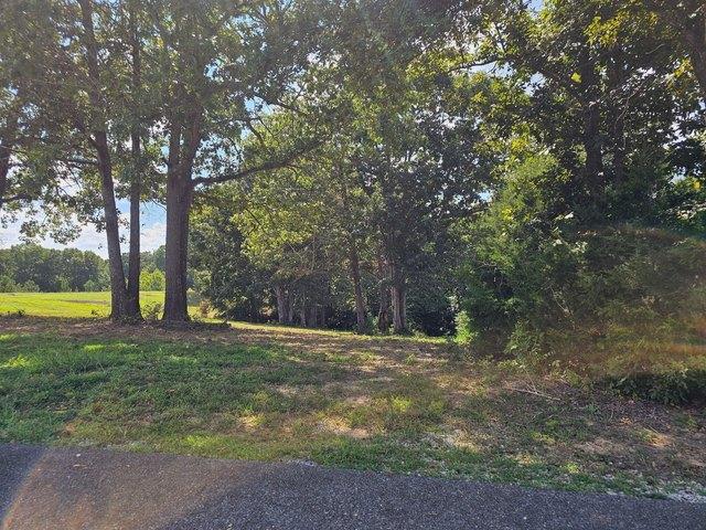 Land for sale in Eddyville, Lyon County