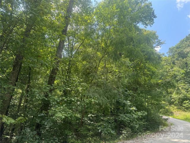 Land for sale in Rutherford, North Carolina