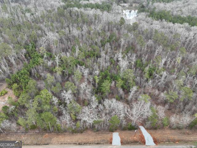 Land for sale in Flovilla, Georgia