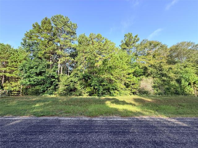 Land for sale in Walker, Texas
