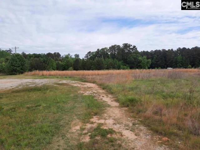 Commercial for sale in Newberry, South Carolina