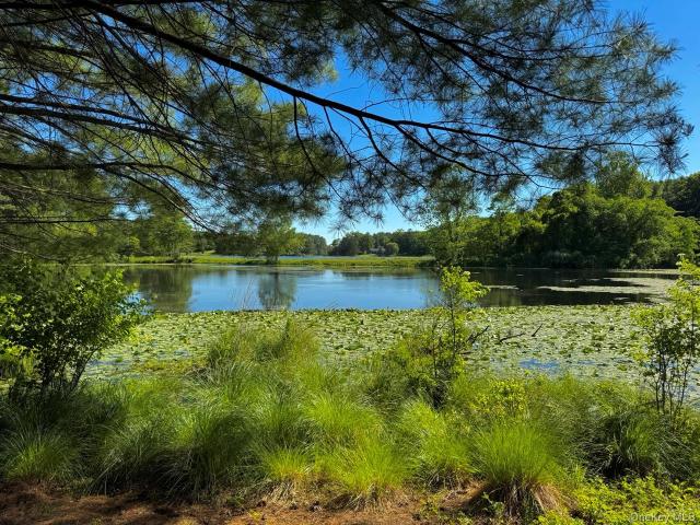 Land for sale in Coxsackie, New York