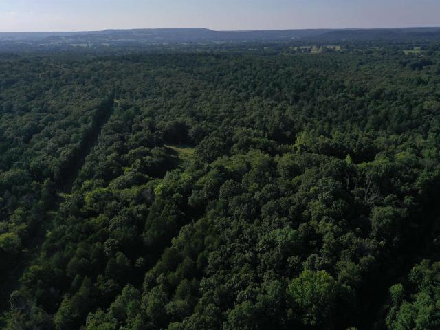 Land for sale in Ark