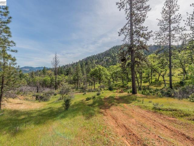 Land for sale in California