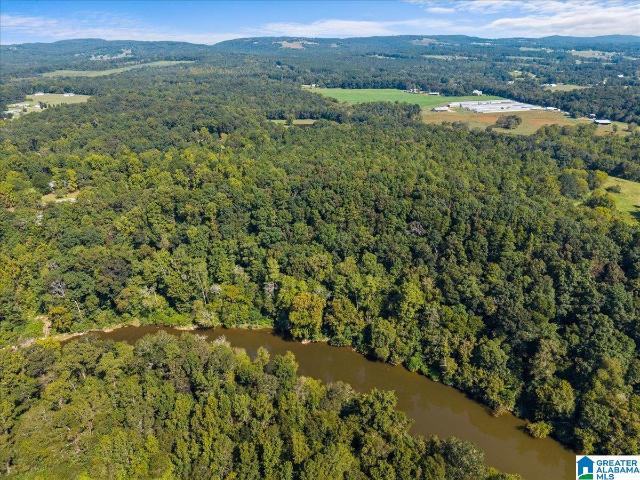 Land for sale in Hayden, Blount County