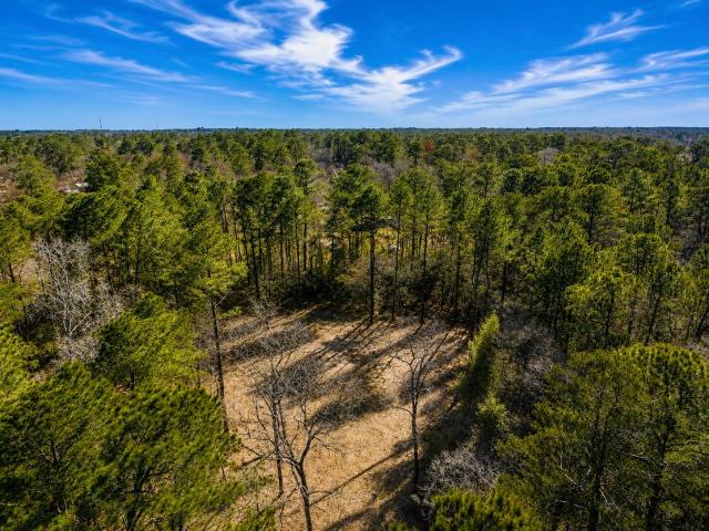 Land for sale in Magnolia, Texas