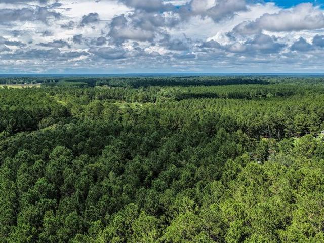 Land for sale in Shepherd, Texas