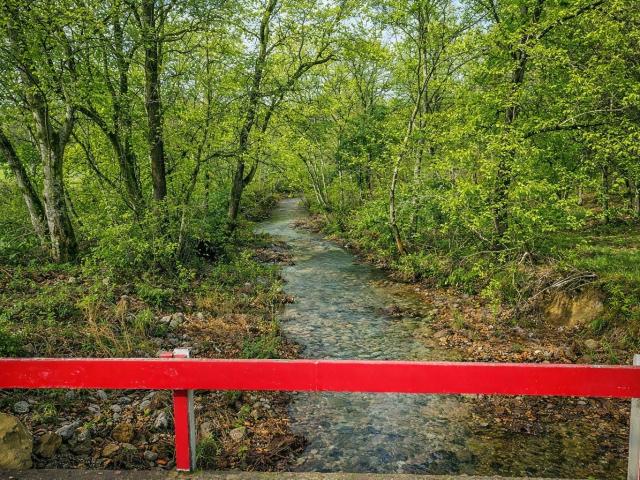 Land for sale in Tennessee