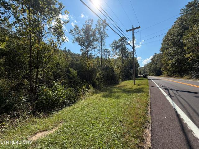Land for sale in Pine Orchard, Oakdale