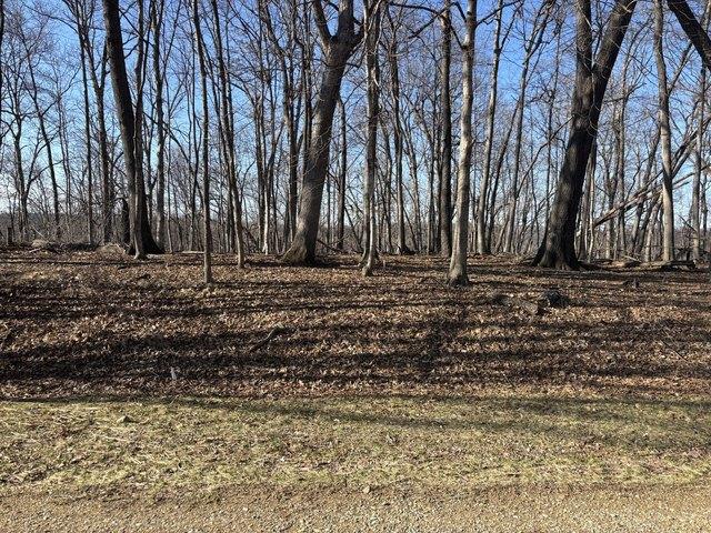 Land for sale in Marshall, Illinois