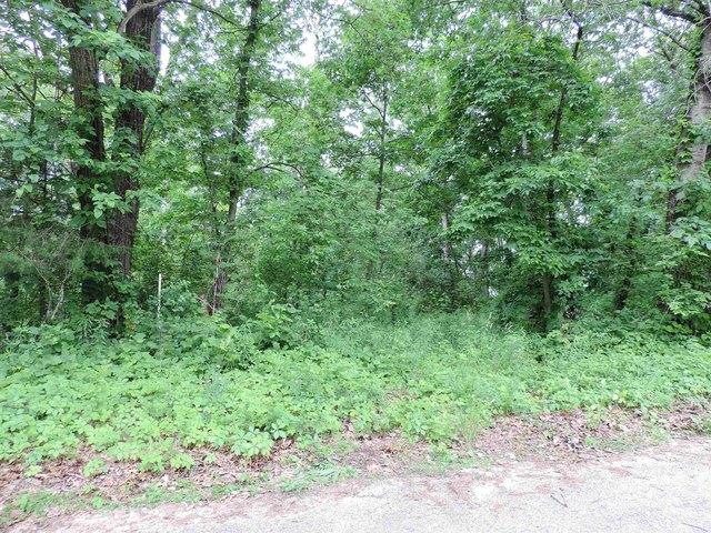 Land for sale in Boscobel, Wisconsin