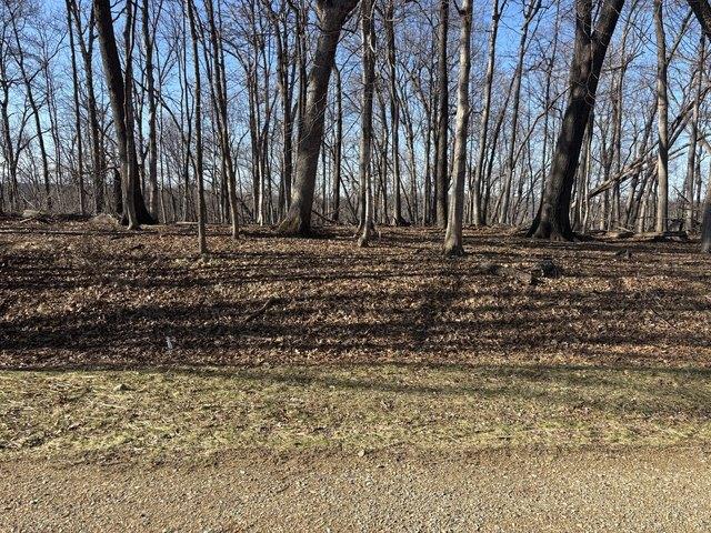 Land for sale in Marshall, Illinois