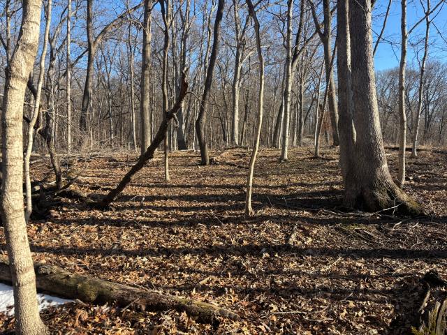 Property for sale in Marshall, Illinois