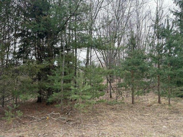 Land for sale in Kent City, Michigan