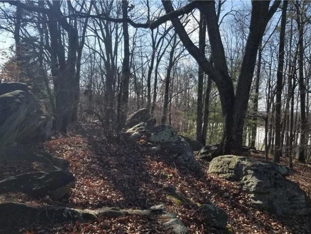 Land for sale in Buford, Georgia