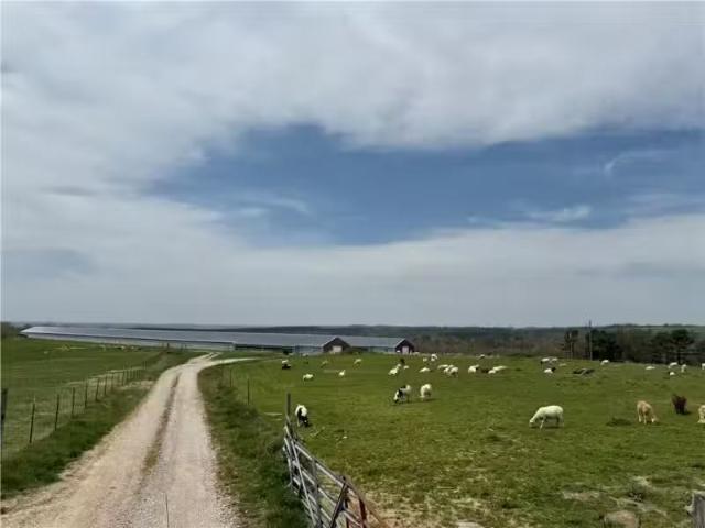 House for rent in Mountain Home