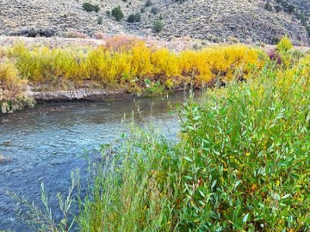 Land for sale in Panguitch, Utah