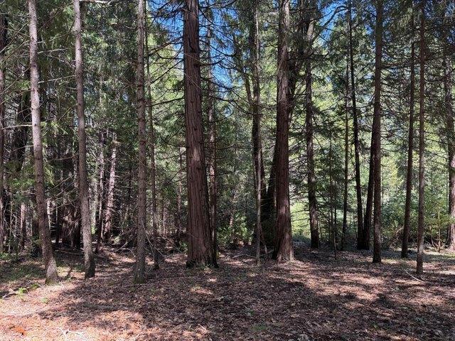 Land for sale in Nevada City, California