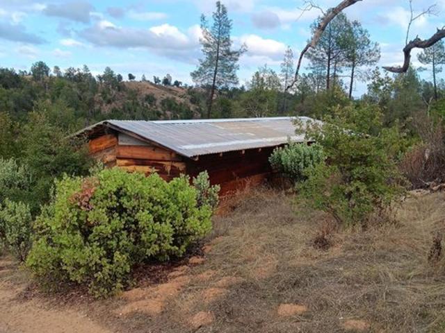 Land for sale in Shasta, California