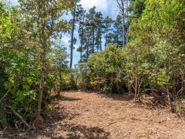 Land for sale in Fort Bragg, Mendocino County