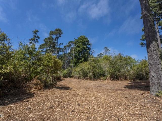 Land for sale in Fort Bragg, Mendocino County