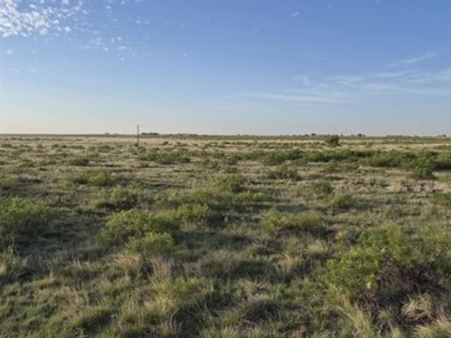 Land for sale in Portales, New Mexico