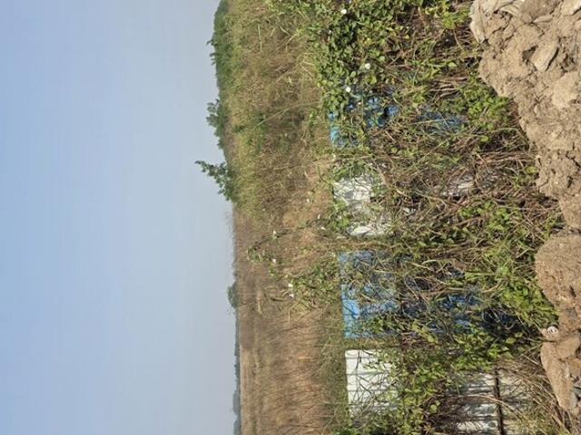 Land for sale in Poona, National Capital Territory Of Delhi