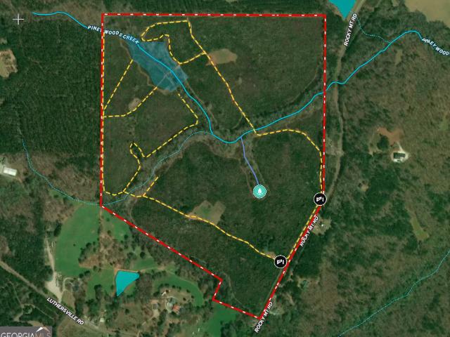 Land for sale in Luthersville, Georgia