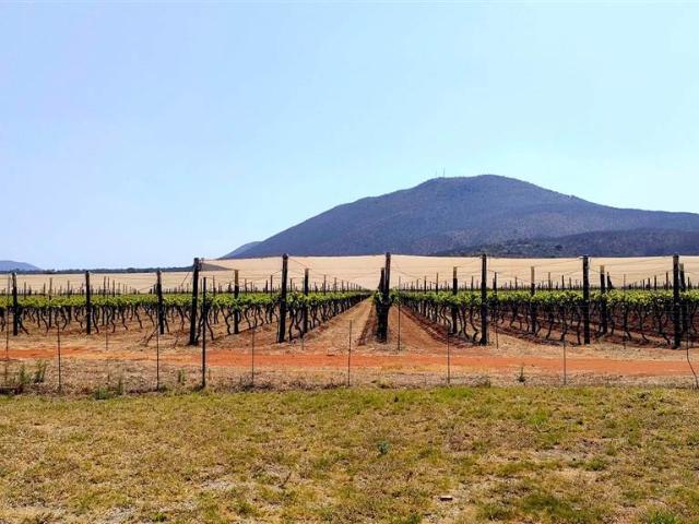 Farm for sale in Groblersdal, Limpopo