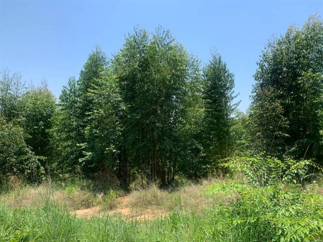 Farm for sale in Mopani, Limpopo