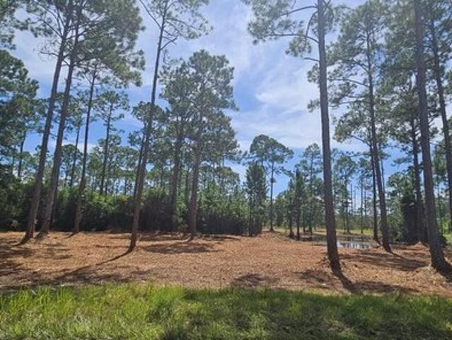 Land for sale in Carrabelle, Franklin County