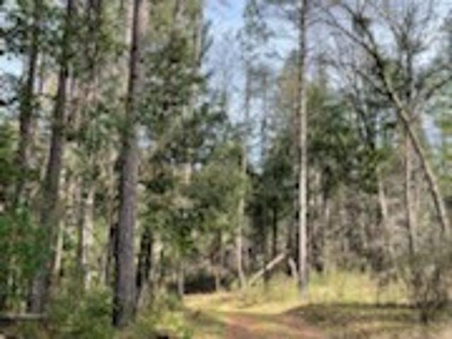 Land for sale in Butte, California